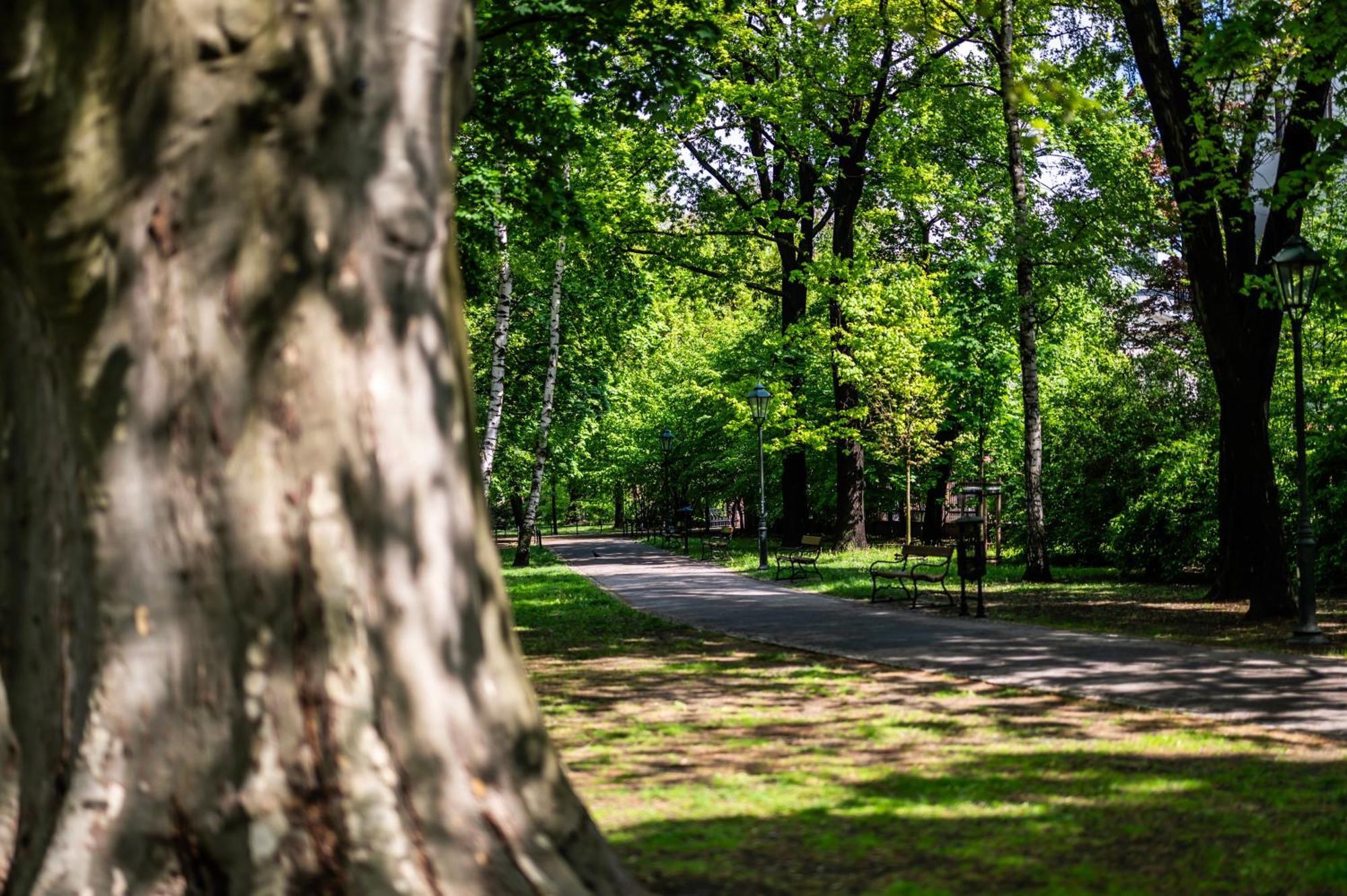 شقة Wenecja Parking Gratis Moxy Te&Am Cracow كراكوفيا المظهر الخارجي الصورة